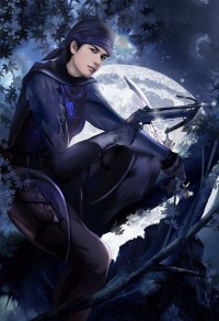 甲武傳說